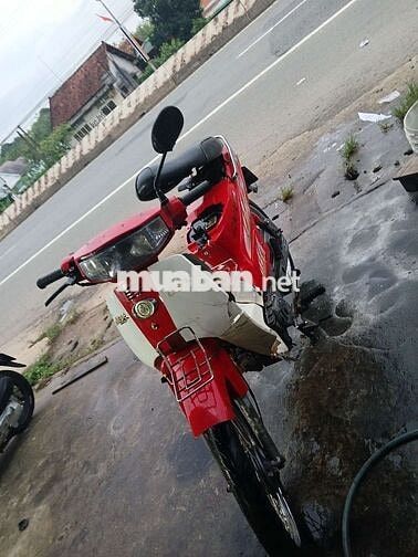 xe 50 có giấy tờ
