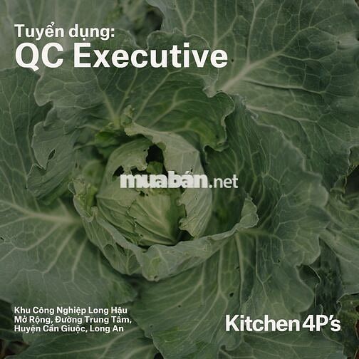 Tuyển Nhân Viên QC tại nhà máy Kitchen 4Ps