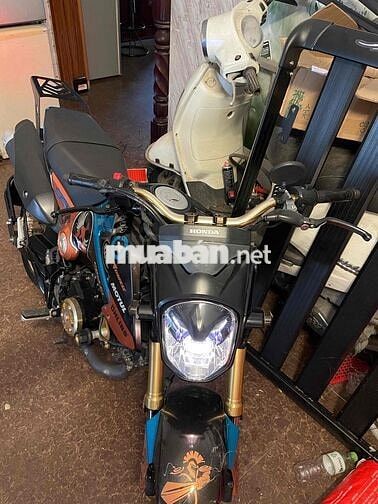 Honda MSX 2016 Đen Xanh Cam