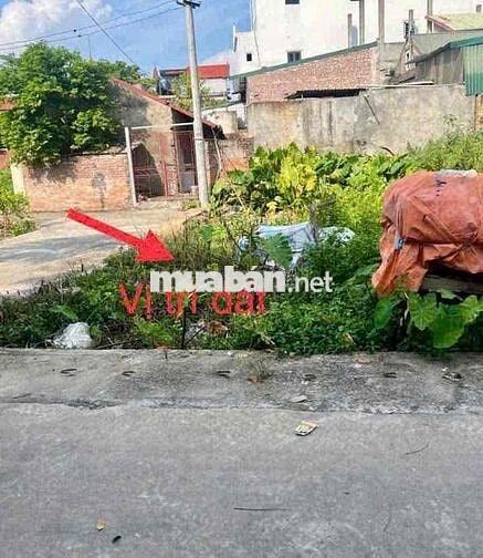 🔥 LÔ GÓC NỞ HẬU – ĐƯỜNG RỘNG – GẦN KCN THĂNG LONG 2 🔥 📍 Vị trí thuận l