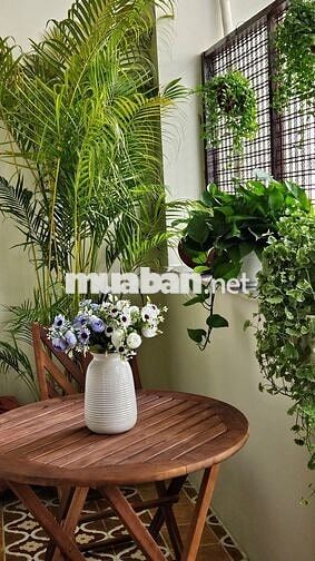 Căn hộ 3PN trung tâm Quận 5 – layout hiếm đẹp, ở ngay