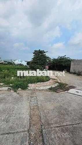 Full THỔ CƯ 56M2- BÌNH THÀNH -BÌNH TÂN- SHR- NHỈNH 3TY