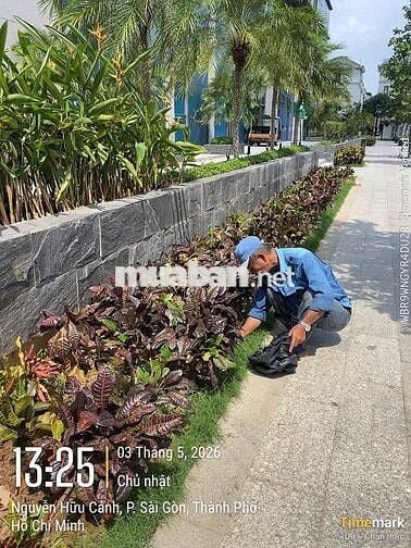 TUYỂN DỤNG NHÂN VIÊN CÂY XANH