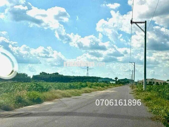 CHỦ CẦN TIỀN BÁN GẤP MẢNH ĐẤT 1000m2