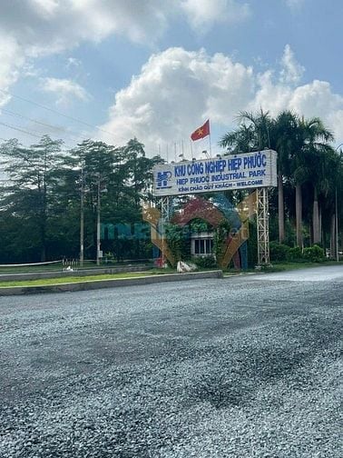 Cho thuê mặt bằng 14.000m2 (105x130m). Mặt tiền đường Nguyễn Hũu Thọ