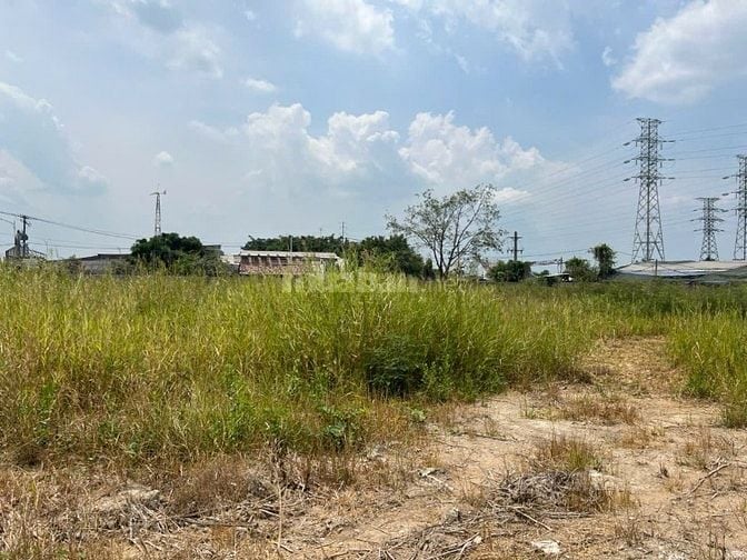 Cho thuê mặt bằng 14.000m2 (105x130m). Mặt tiền đường Nguyễn Hũu Thọ