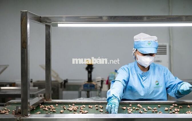 TUYỂN CÔNG NHÂN NAM/ NỮ  (CHÍNH THỨC - THỜI VỤ)