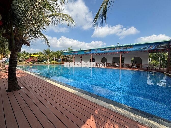 Sen Hồng - Bến Tre tuyển dụng 1 lao động phổ thông