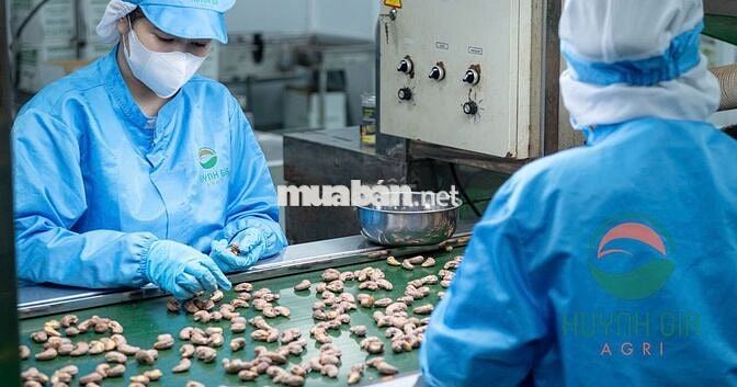 TUYỂN CÔNG NHÂN NAM/ NỮ  (CHÍNH THỨC - THỜI VỤ)