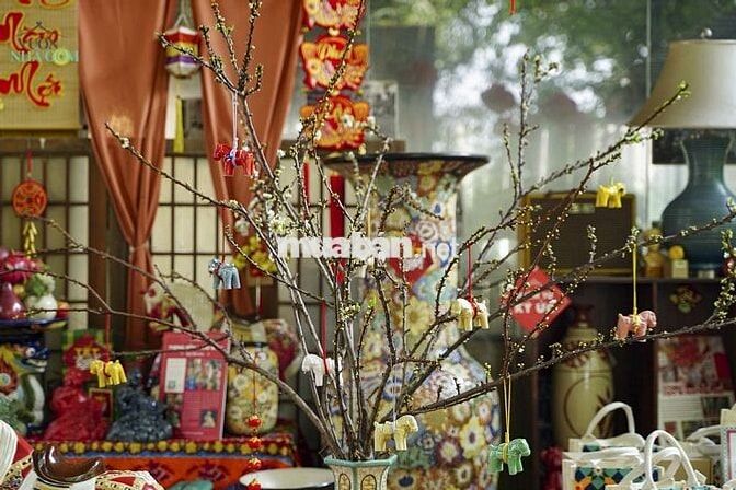 NHÂN VIÊN TẠP VỤ THUẬN AN