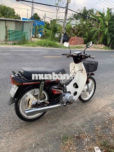 Honda Dream màu Nâu trắng