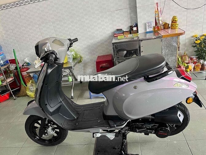 Canely 50cc 2023 Xám