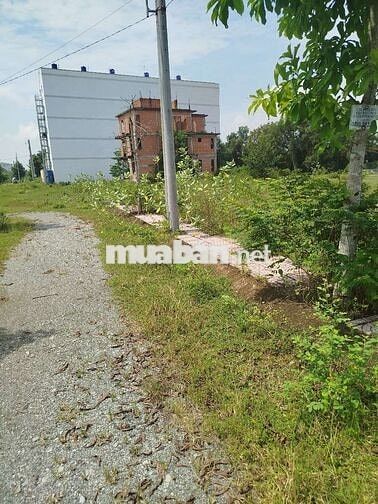 Bán gấp đất KDC Long Cang, Cần Đước, DT: 130m2, Giá: 700tr, SHR
