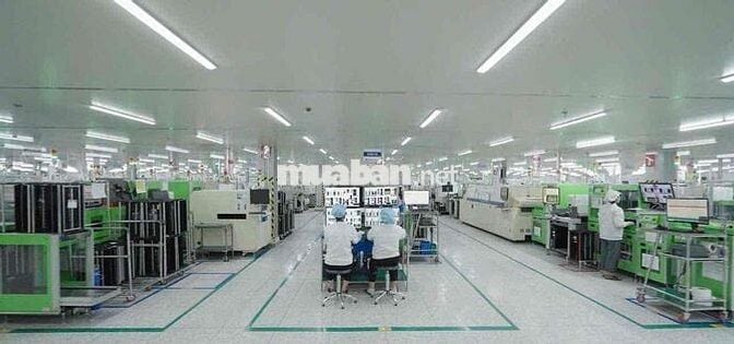 TRẢ LƯƠNG TUẦN - LẮP RÁP LKĐT TẠI QUẬN 9