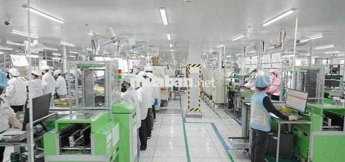 TRẢ LƯƠNG TUẦN - LẮP RÁP LKĐT TẠI QUẬN 9
