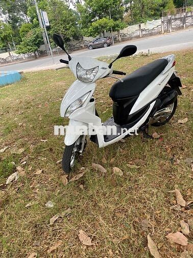 Honda Vision màu Trắng