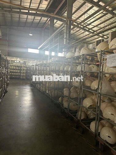 CẦN TUYỂN NAM/NỮ LĐPT SẢN XUẤT NÓN BẢO HIỂM