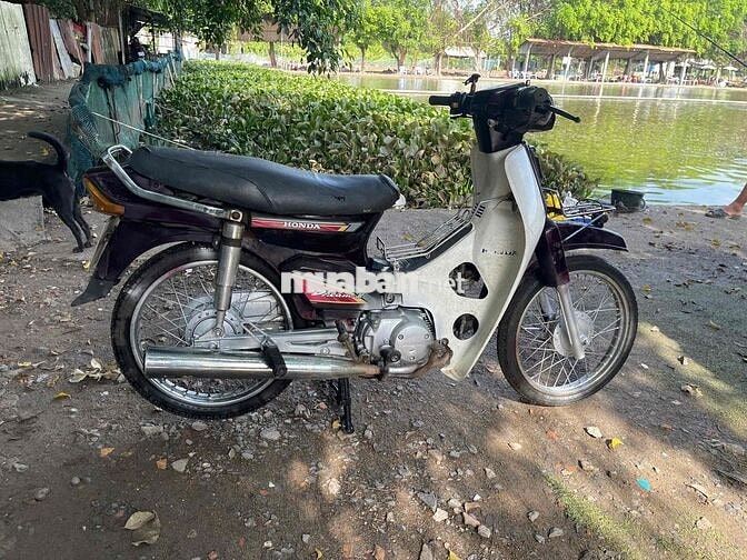 Honda Dream màu Nâu, Trắng