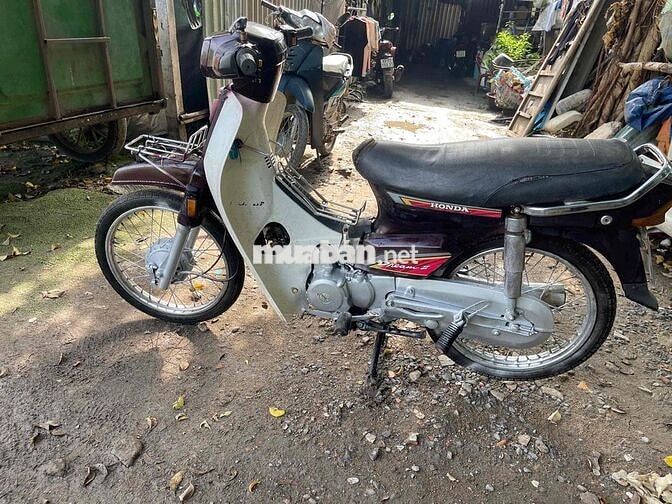 Honda Dream màu Nâu, Trắng
