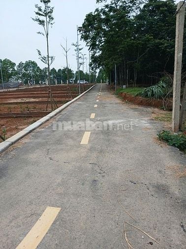 Chỉ hơn 1 tỷ sở hữu lô đất full thổ cư sẵn sổ đỏ tại Cam Thượng,Ba Vì.