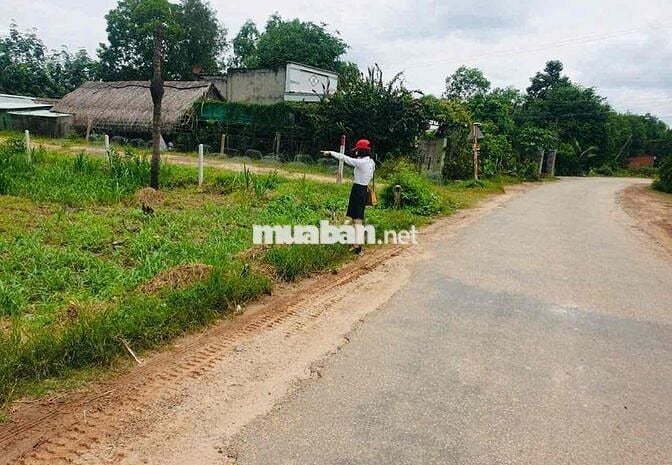 Bán đất nông nghiệp trong đó có 100m thổ cứ 💰 2 Tỷ 500 💰