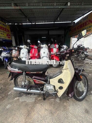 Honda Dream màu Nâu