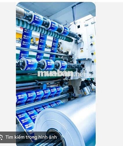 20 Nam Sản Xuất Bao Bì Kcn Tân Bình