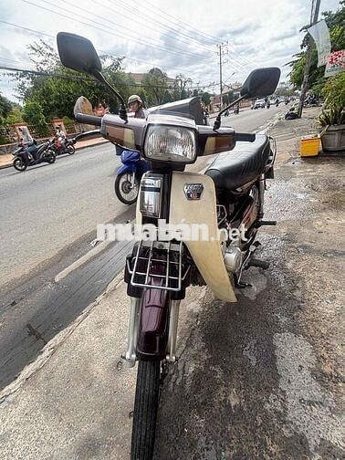 Honda Dream màu Nâu