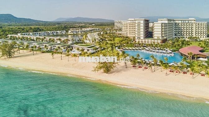 Bán căn hội Codotel đang cho thuê 