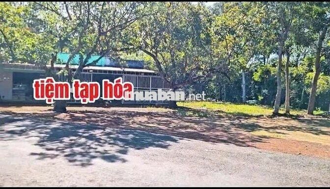 🔥 CẦN TIỀN BÁN GẤP LÔ ĐẤT GIÁ RẺ TẠI LỘC HƯNG 🔥