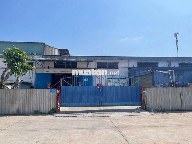CẦN TUYỂN 10 NAM TRỘN HÀNG BỘT THỰC PHẨM