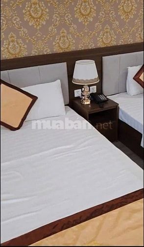 CHÍNH CHỦ BÁN KHÁCH SẠN HẠ LONG 40 PHÒNG NGỦ 