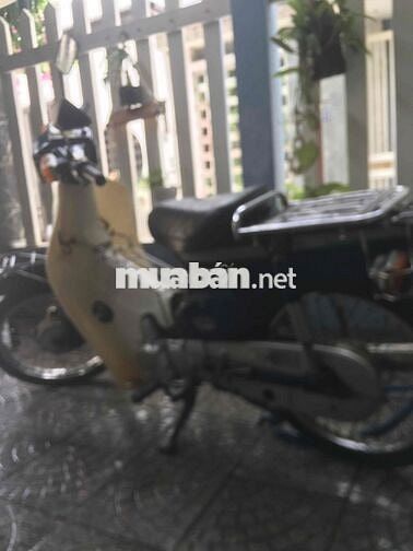 Honda Cub 50 Trắng Xanh