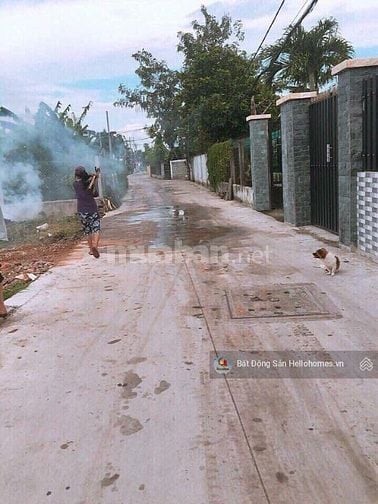 Chính chủ bán lô đất gần chợ đầu mối Hóc Môn, 5,5x12m, hẻm xe tải nhỏ