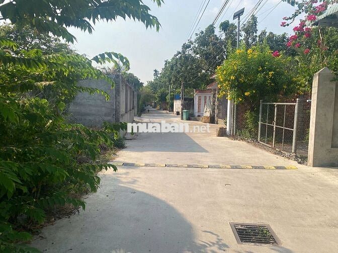 Đất biệt thự thành phố Đồng Nai cần bán, thổ cư xây dựng tự do