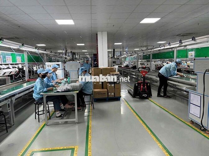 VSIP II LÀM HÀNH CHÍNH TĂNG CA