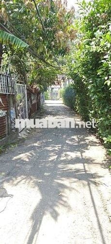 Đất nền SHR 1/Khu phố 3-1-Thị trấn Hóc Môn.Dt 6x22~125m2~4,2ty