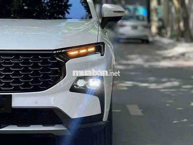 Territory Titanium X 2024 12000 km Trắng - XHD Cao