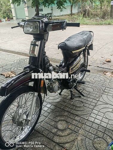 Honda Dream Đen trắng
