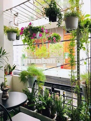 🏡 CHÍNH CHỦ CẦN BÁN NHÀ TRUNG TÂM THANH KHÊ – ĐÀ NẴNG