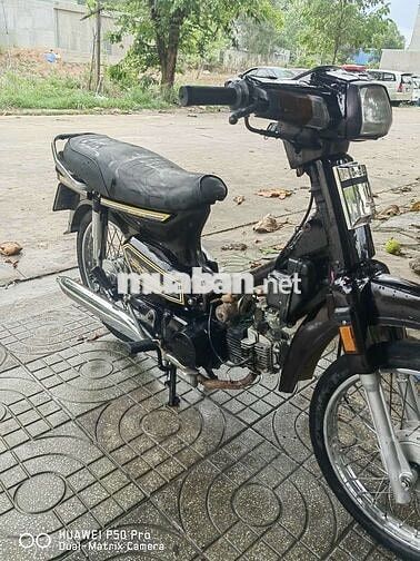 Honda Dream Đen trắng