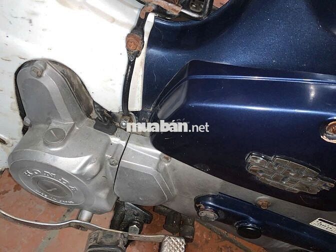 Cúp nhật 8290 cốp nổi ngon nguyên bản