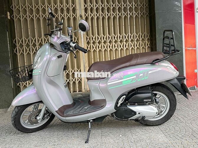 Scoopy 2024 bs43 Xám tím titan hàng bỏ mẫu cực hót