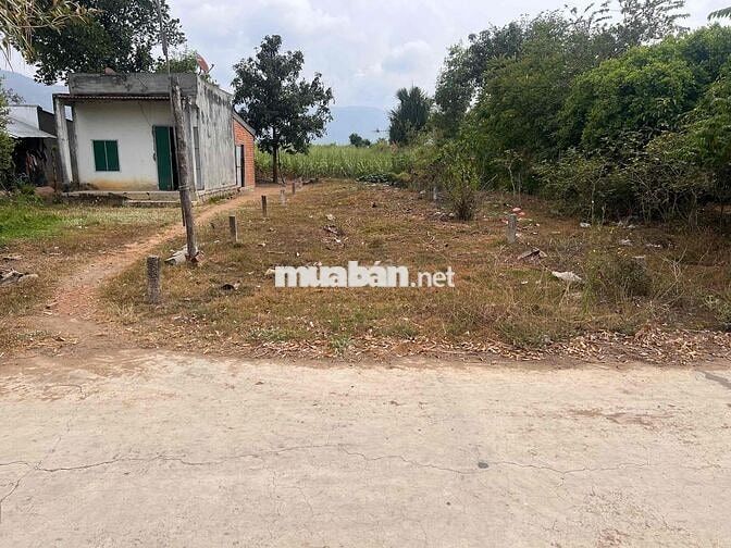 chỉ 1.155k/m2 đất đường bê tông oto tận nơi tại xã Tây Ninh Hoà