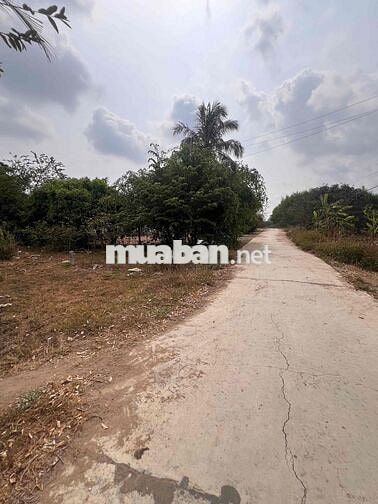 chỉ 1.155k/m2 đất đường bê tông oto tận nơi tại xã Tây Ninh Hoà