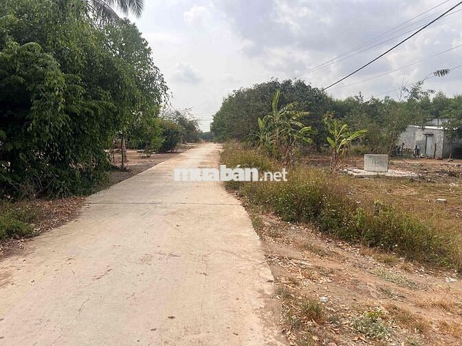 chỉ 1.155k/m2 đất đường bê tông oto tận nơi tại xã Tây Ninh Hoà