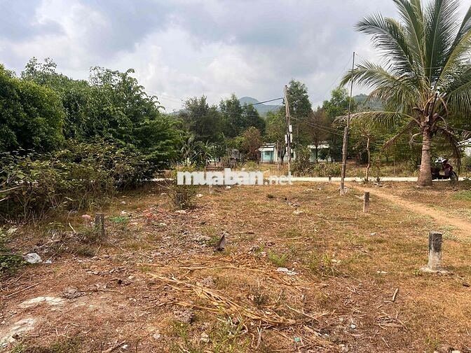 chỉ 1.155k/m2 đất đường bê tông oto tận nơi tại xã Tây Ninh Hoà