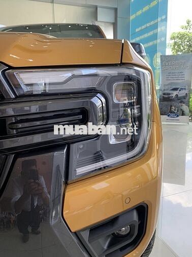 Ford Ranger Wildtrak 2025 Vàng