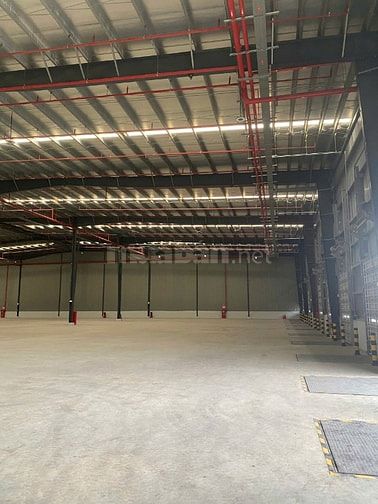 Cho thuê kho xưởng KCN Phú An Thạnh, Bến Lức, Long An