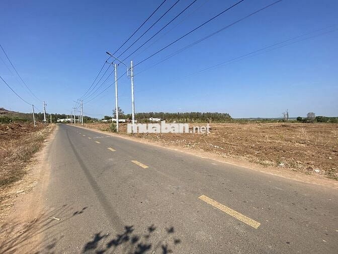 Đất mặt tiền đường Đoàn Trung Còn gần KCN Đất Đỏ, shr thổ cư